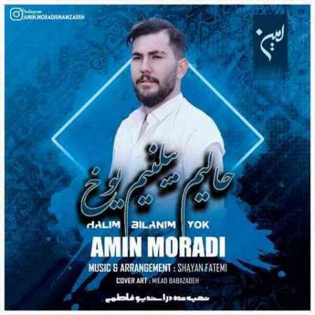 Amin Moradi – Halim Bilanim Yox